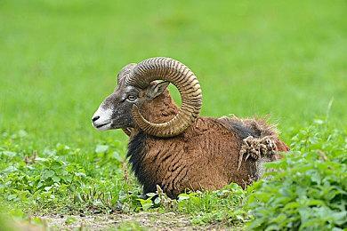 《Heroes of Valor》登陆Steam 战争主题合作射击